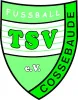 TSV Cossebaude AH