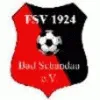 FSV 1924 Bad Schandau