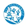 SV Pesterwitz