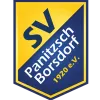 SV Panitzsch