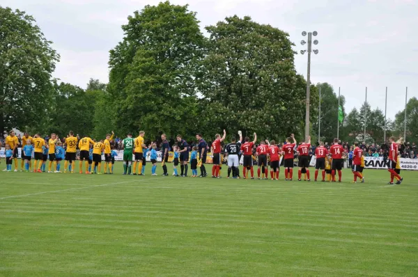 1.Männer - SG Dynamo Dresden