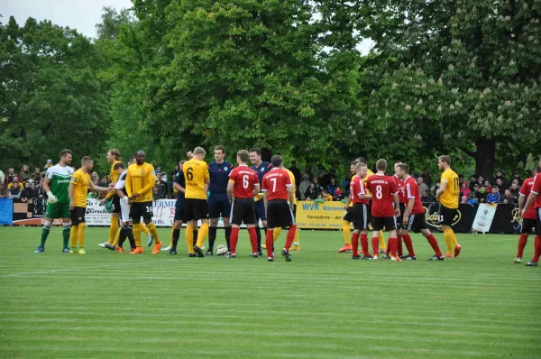 1.Männer - SG Dynamo Dresden