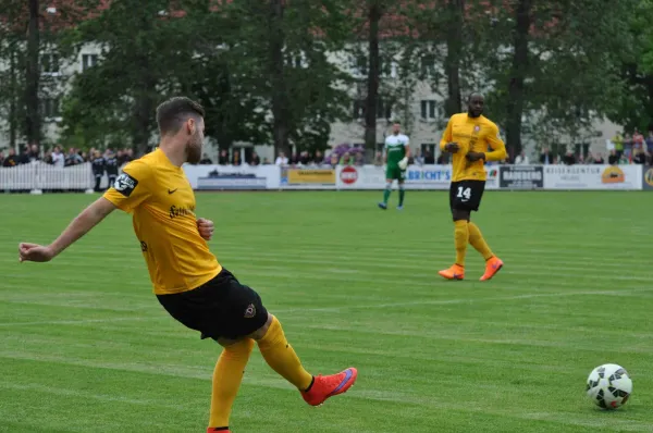 1.Männer - SG Dynamo Dresden