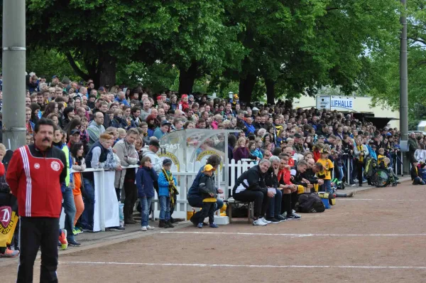 1.Männer - SG Dynamo Dresden