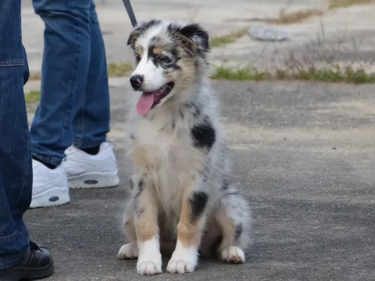 Trainingslager Frauen und Juniorinnen 2016