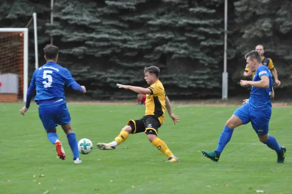 SG Dynamo Dresden - FCO Neugersdorf