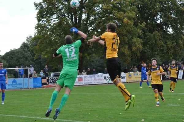 SG Dynamo Dresden - FCO Neugersdorf