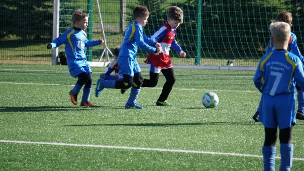 17.03.2019 Radeberger SV II vs. Gebergrund Goppeln II