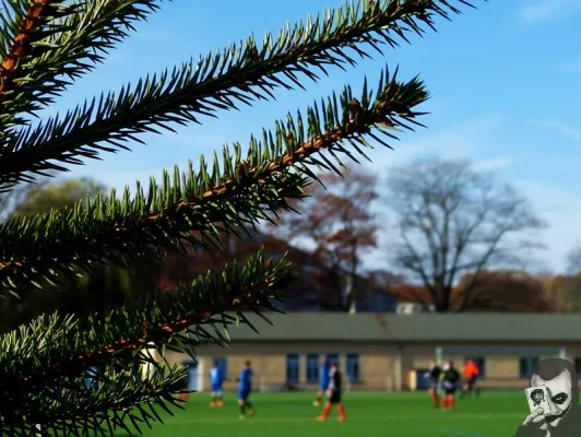 13.11.2016 Radeberger SV II vs. FV Hafen Dresden