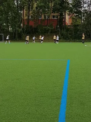 12.08.2017 Eintracht Strehlen vs. Radeberger SV