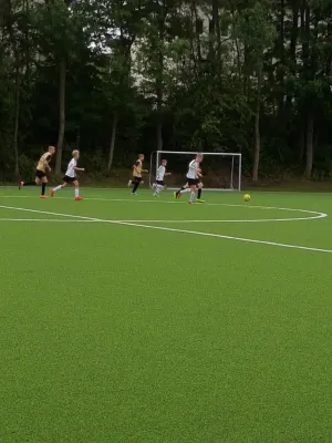 12.08.2017 Eintracht Strehlen vs. Radeberger SV