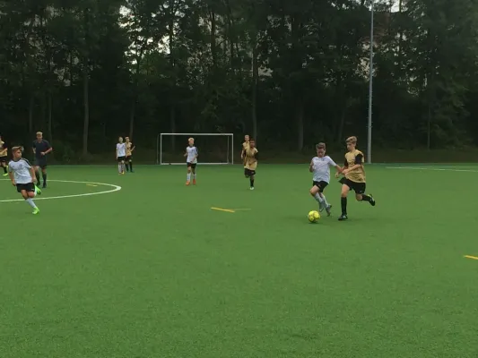 12.08.2017 Eintracht Strehlen vs. Radeberger SV